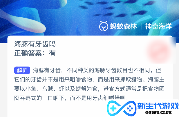 探究海洋生物：海豚到底有没有牙齿？