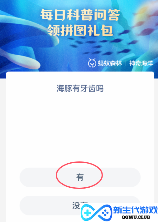 探究海洋生物：海豚到底有没有牙齿？